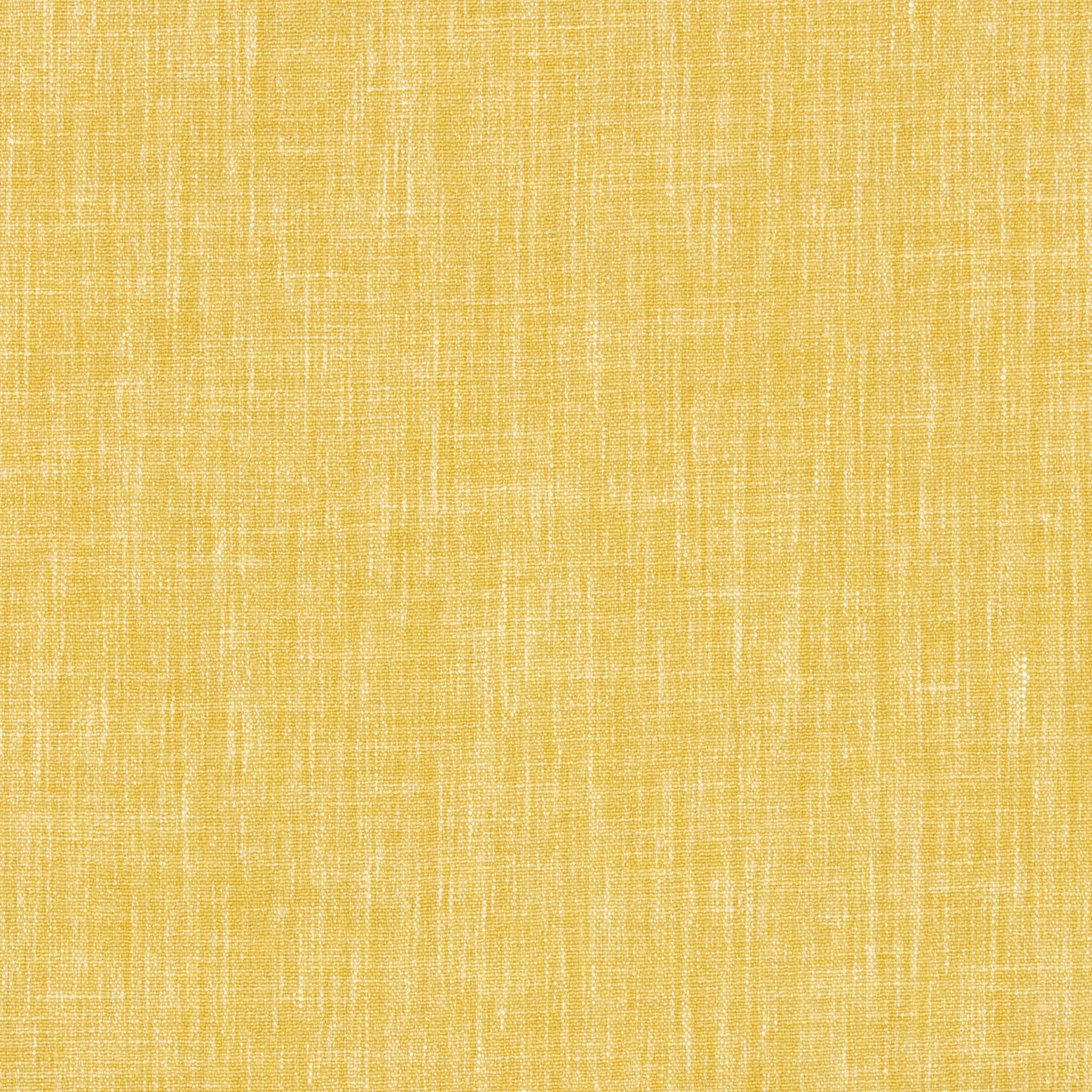 Narcissus