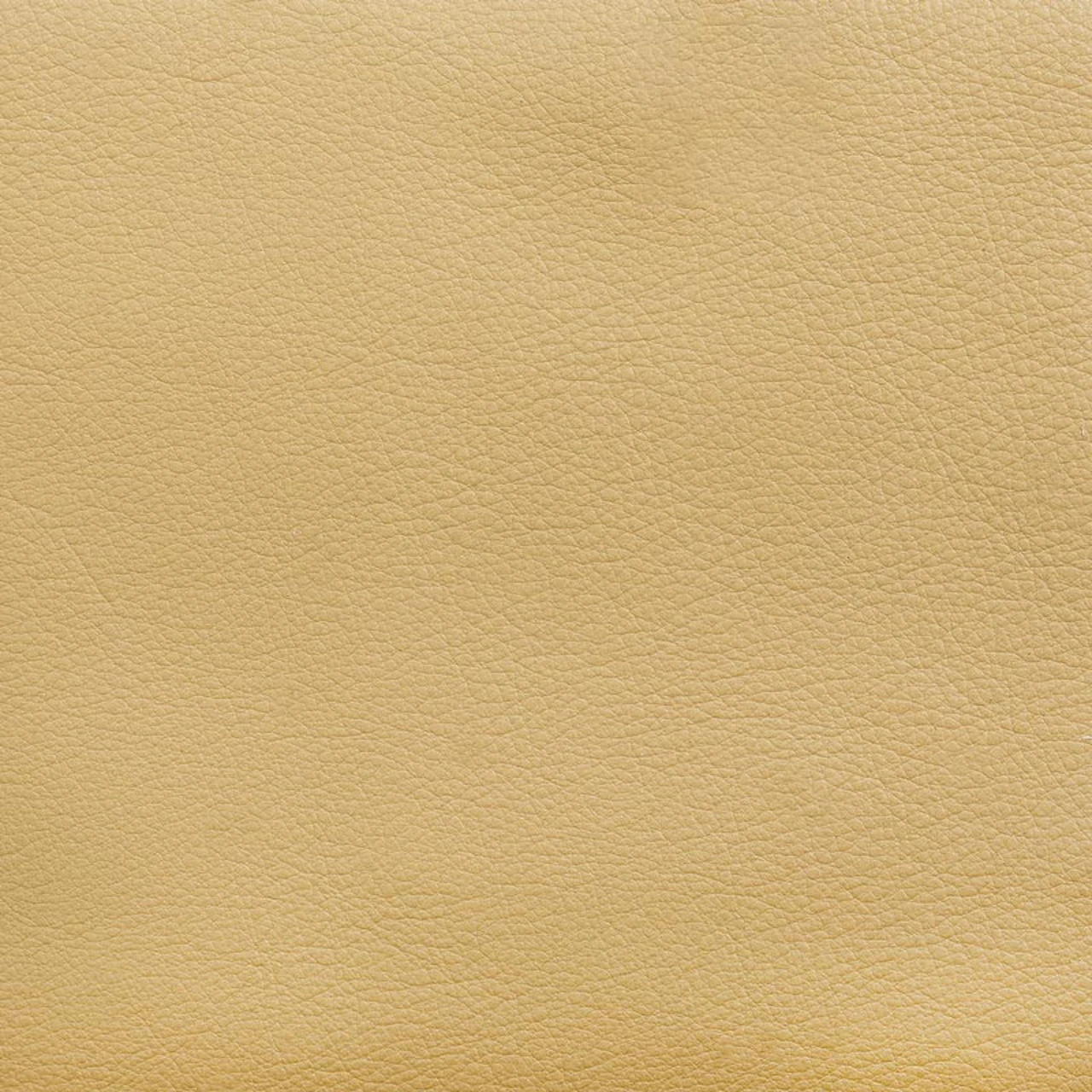Desert Sand