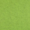 Pistachio