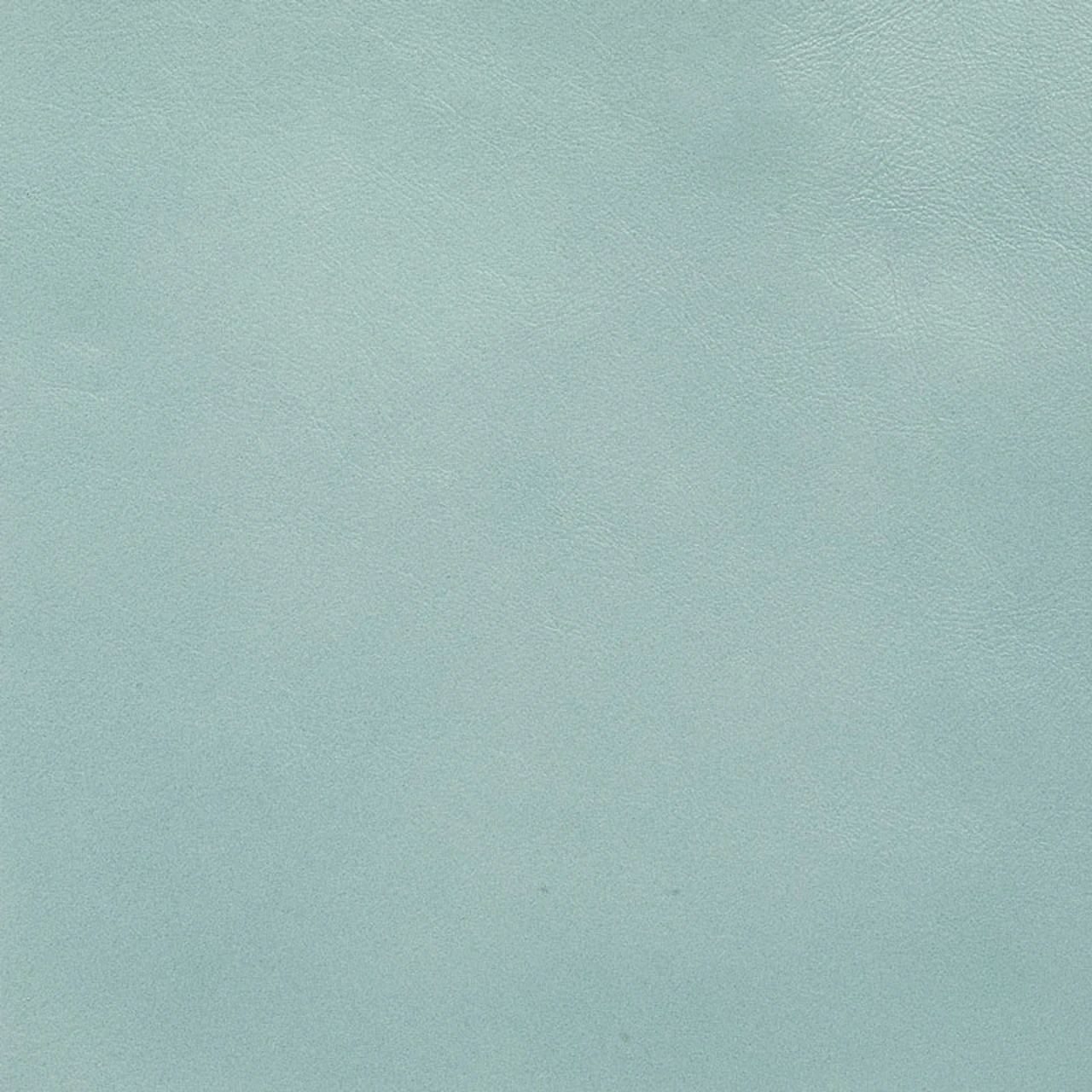 Eucalyptus