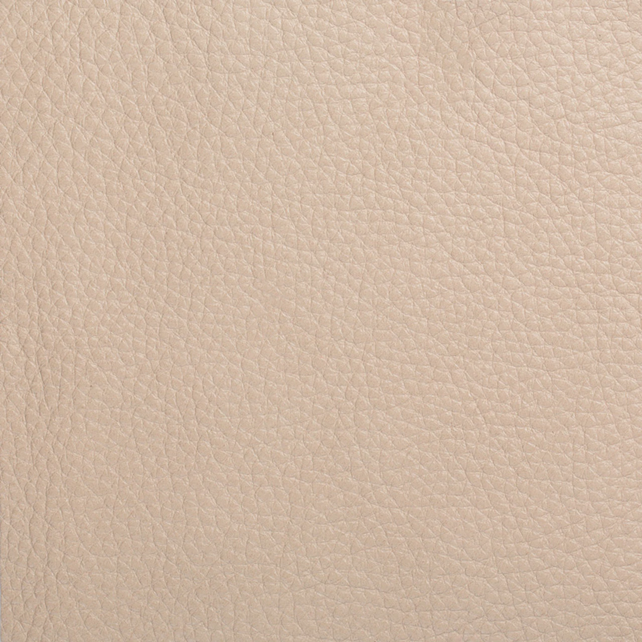 Sesame
