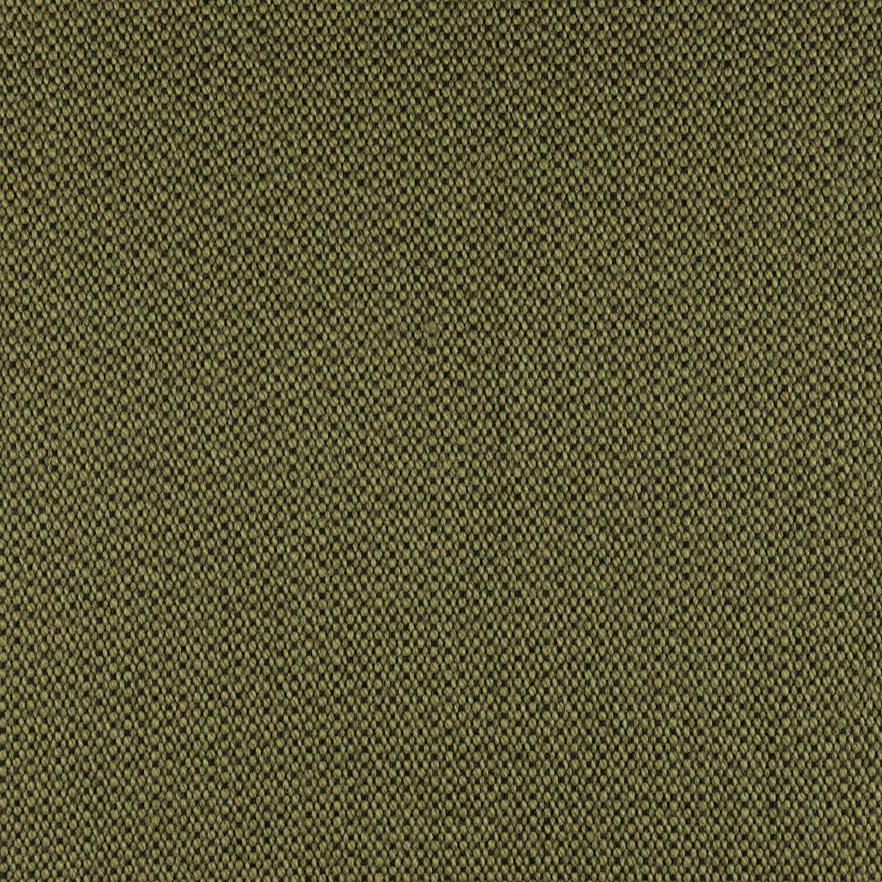 Olive/Black