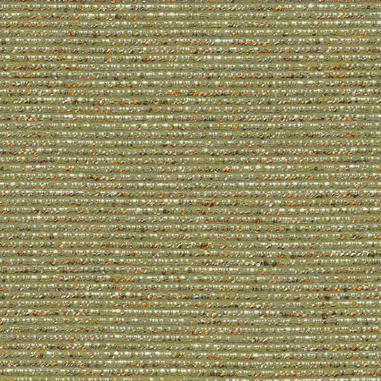 Moss