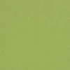 Parakeet