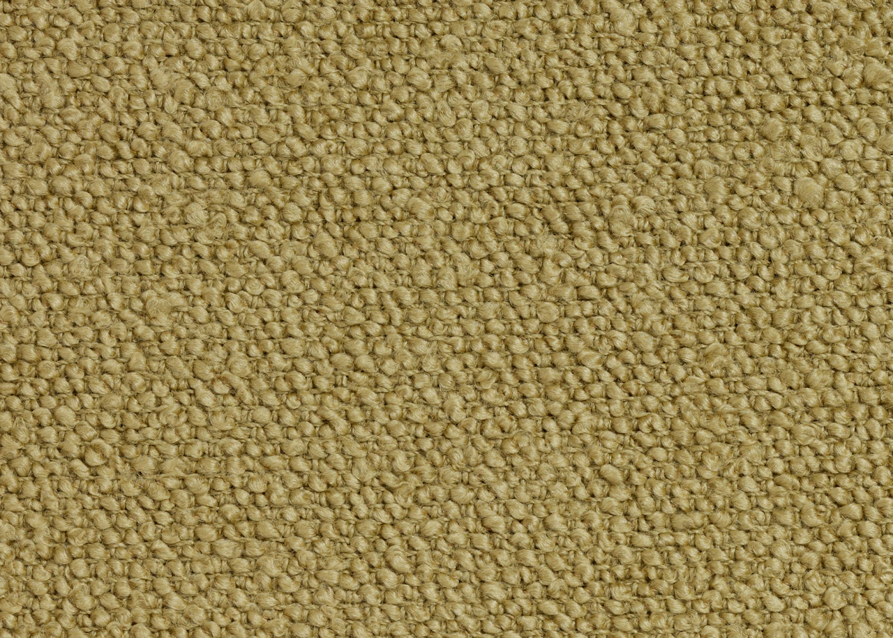 Palm