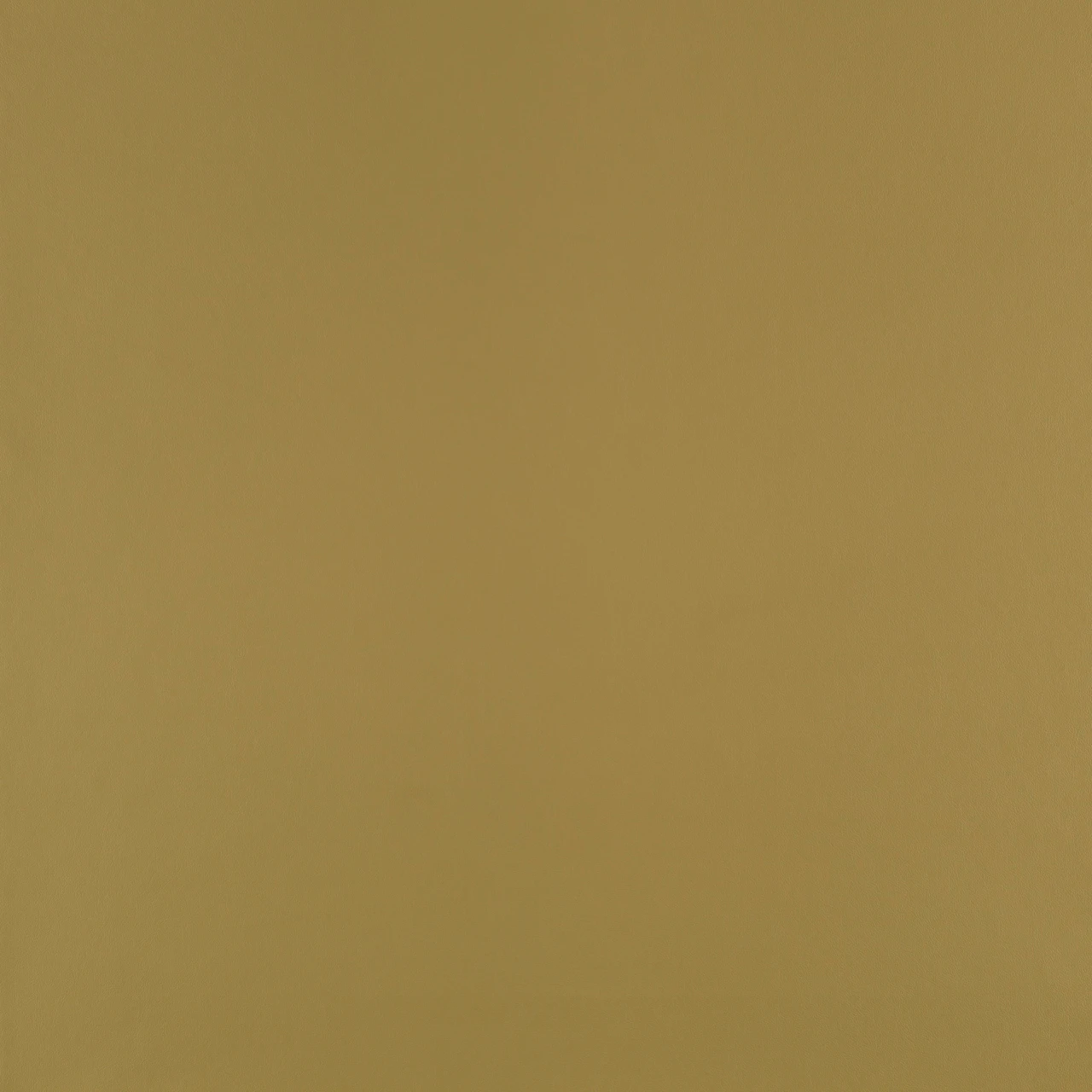 Sahara