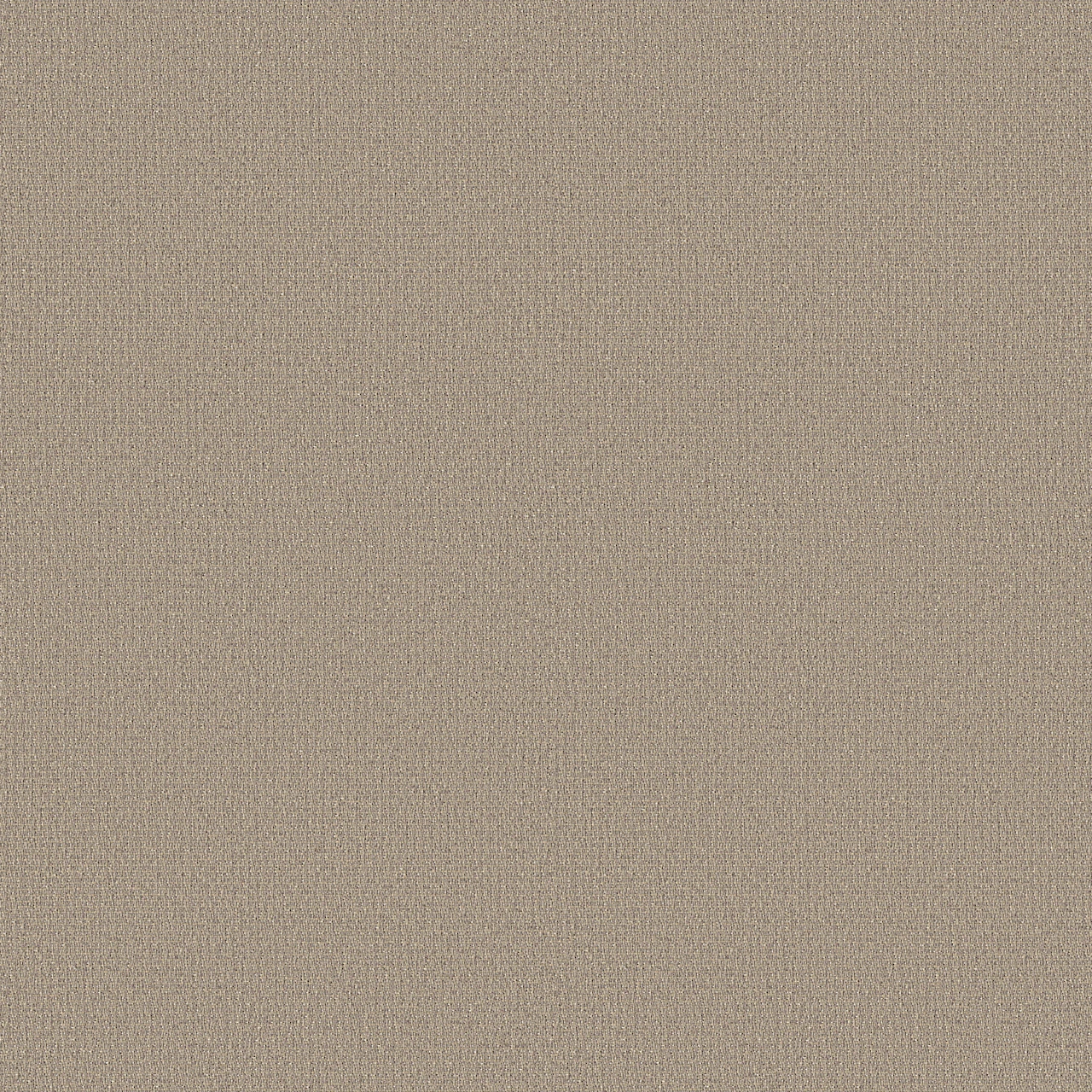 Parchment