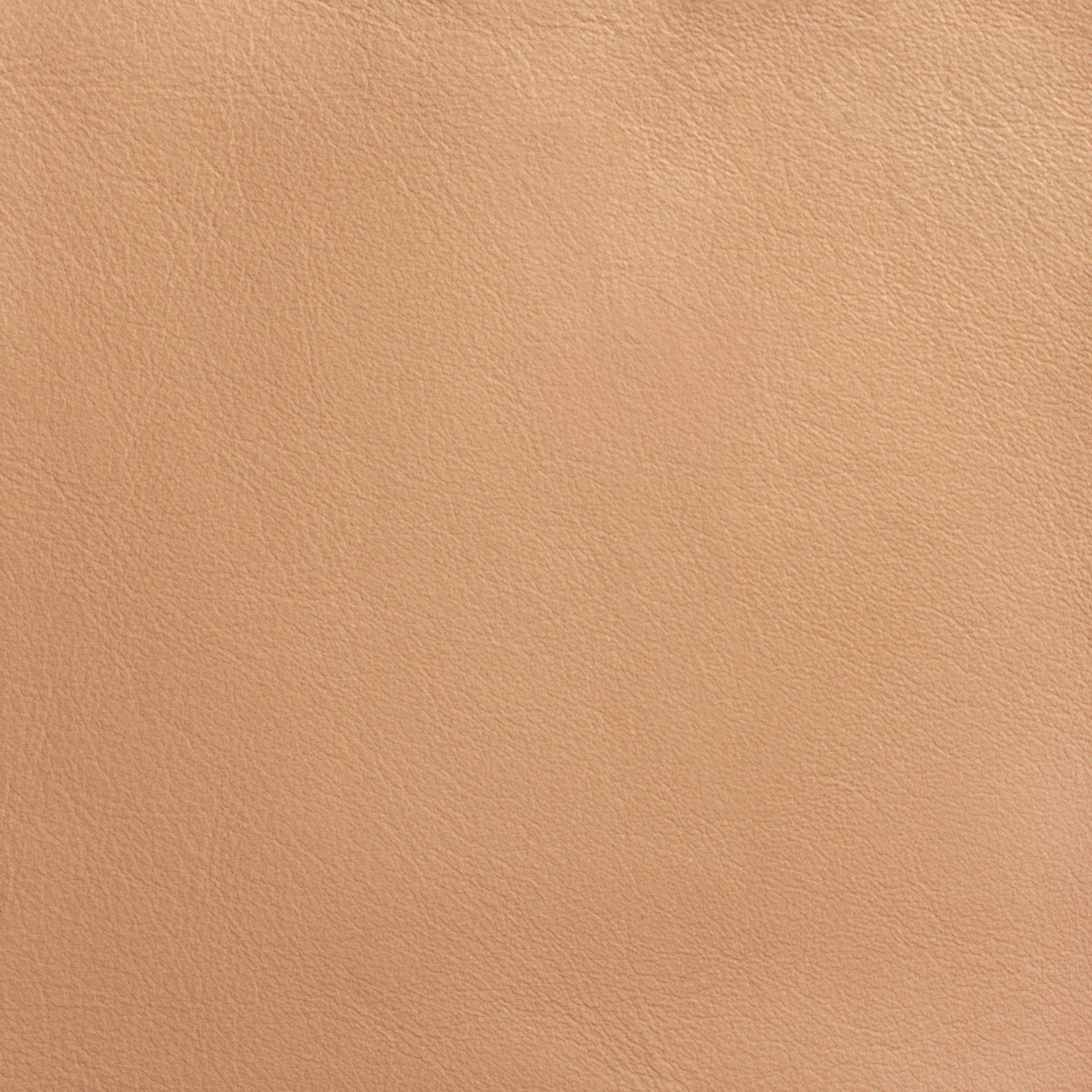 Tannish