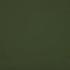 Conifer