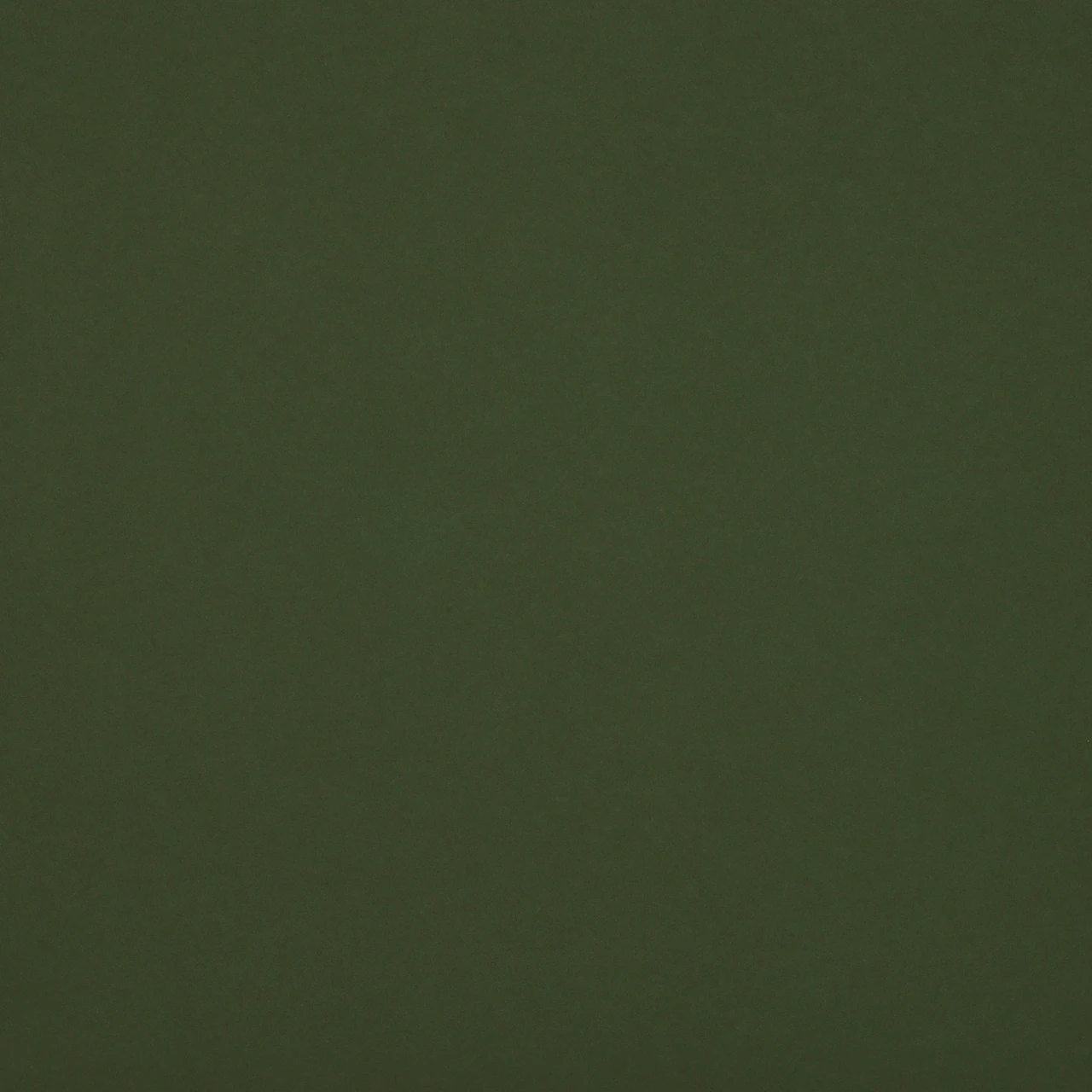 Conifer