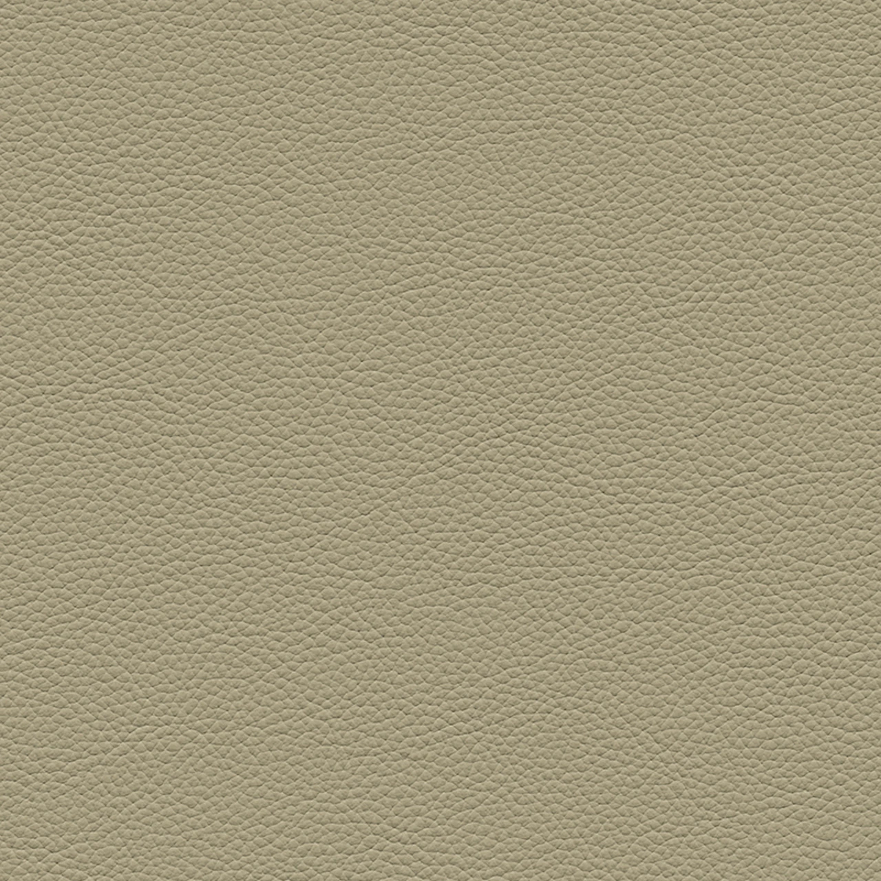 Cement