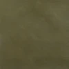 Palm