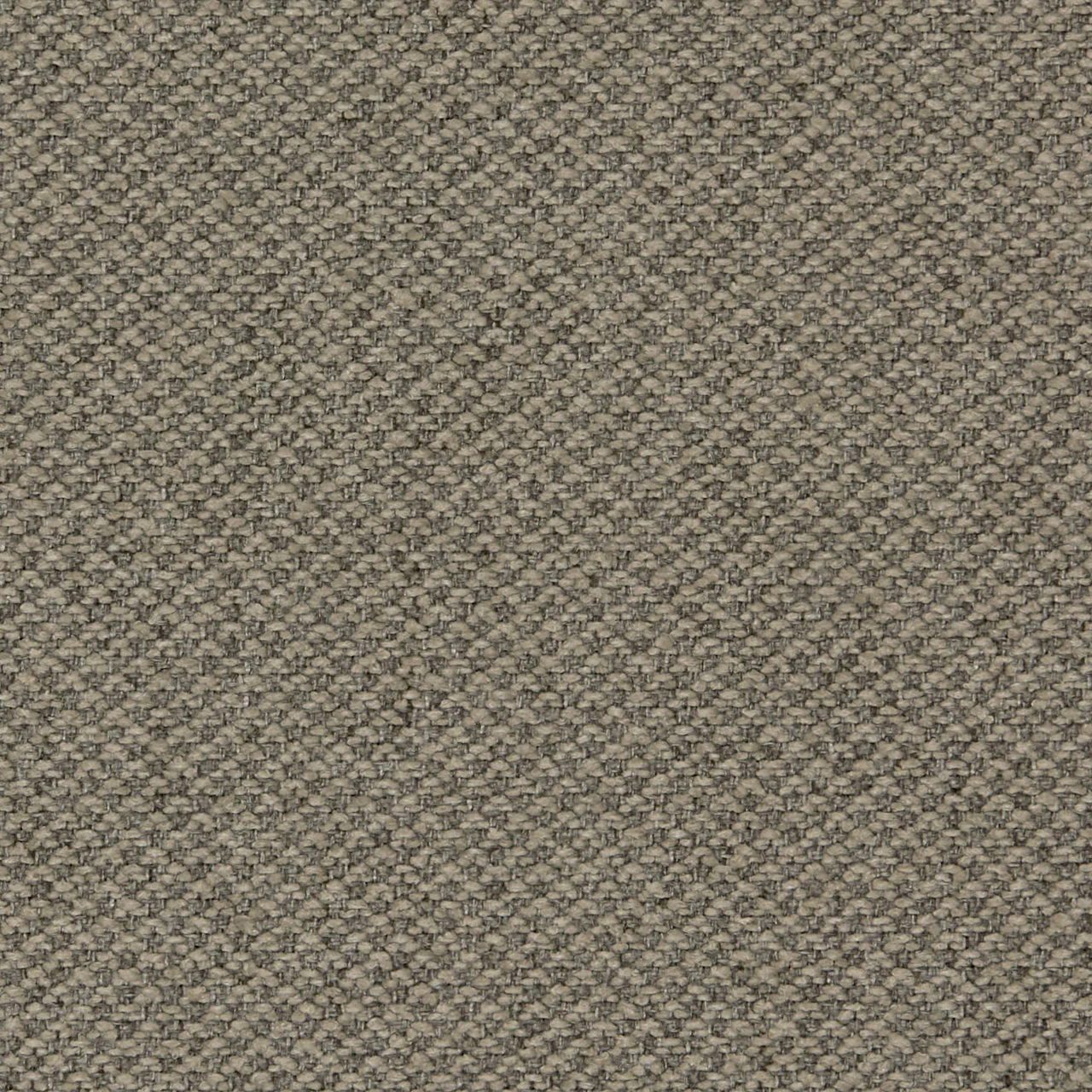 Fossil