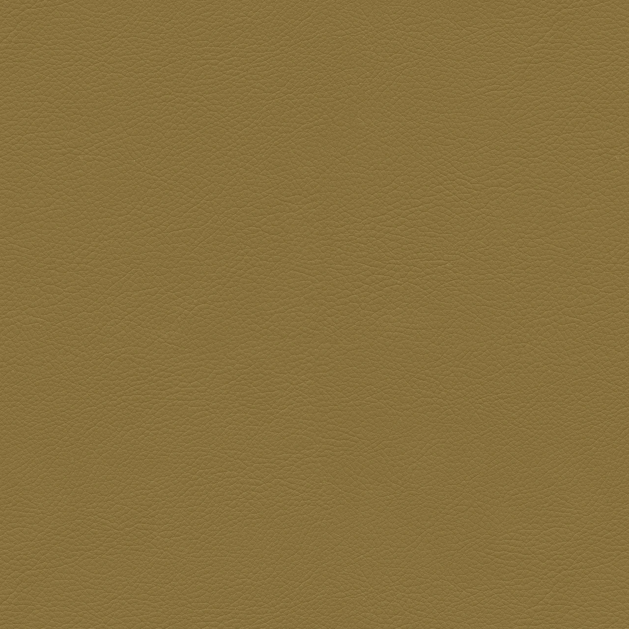 Clove