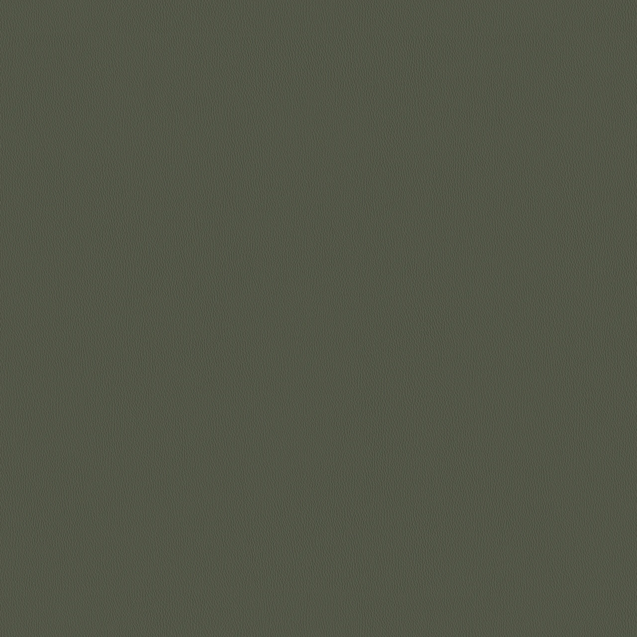 Bayleaf