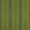 Fern