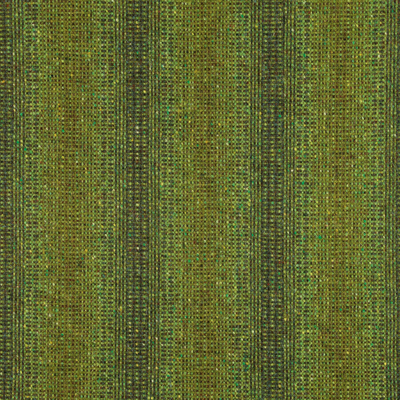 Fern