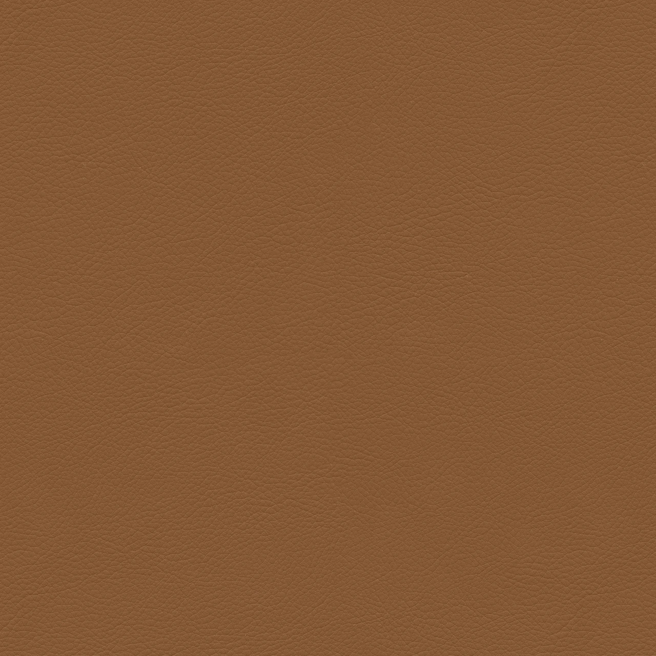 Cinnamon