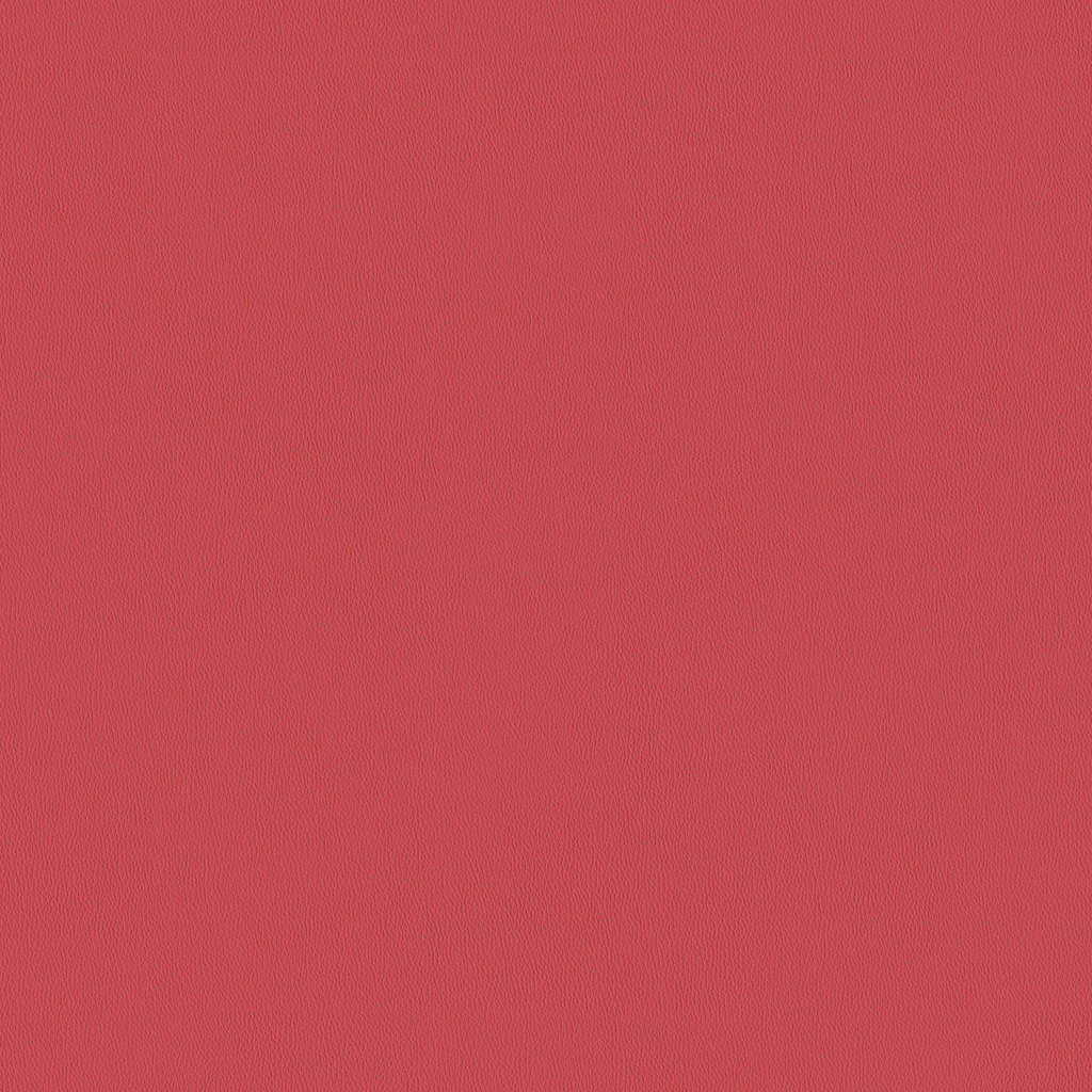 Raspberry