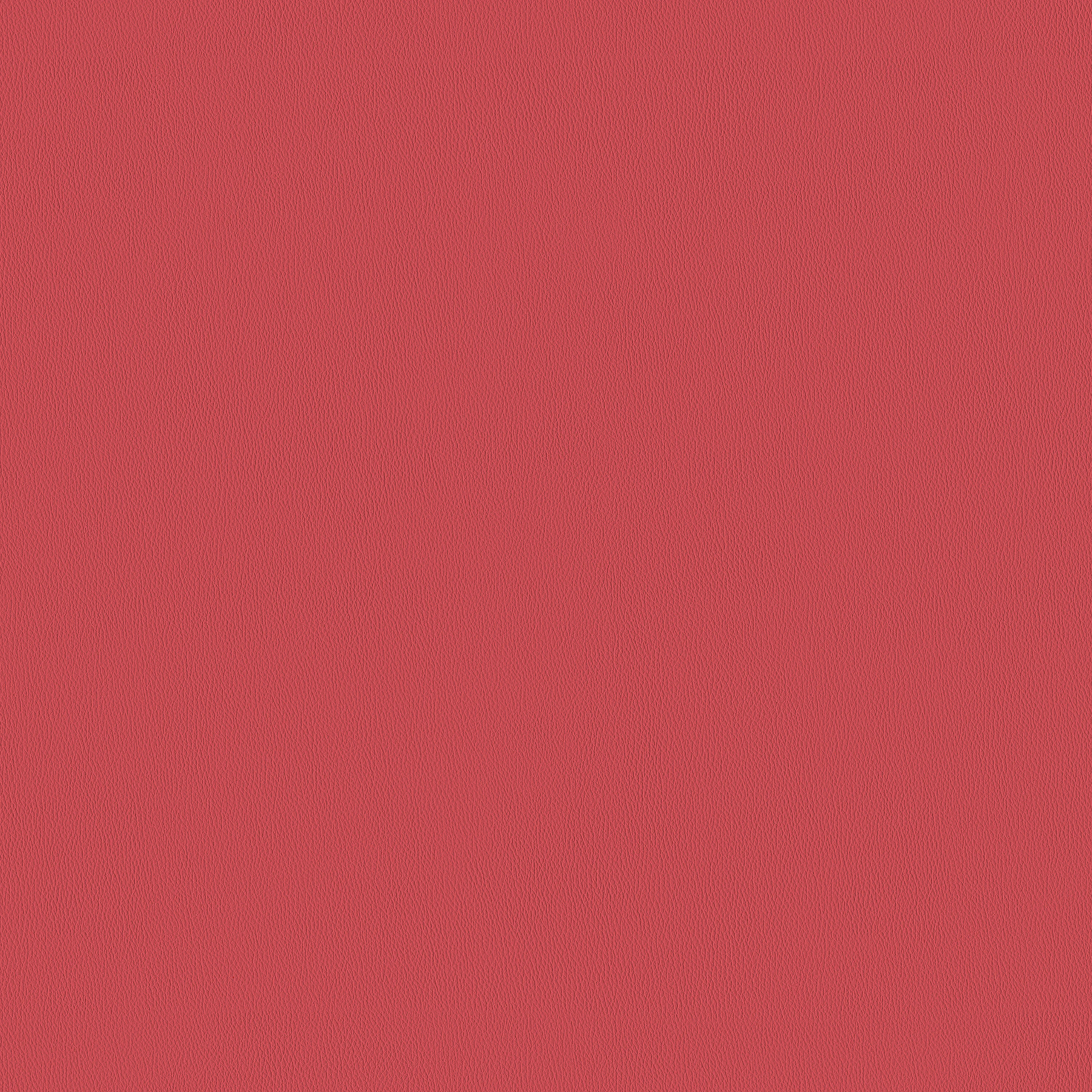 Raspberry