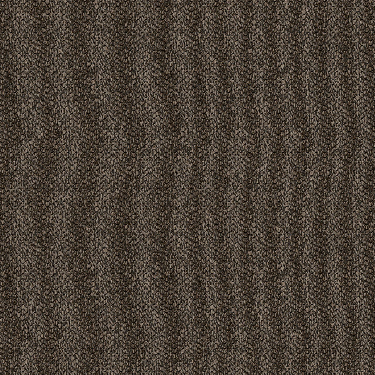 Acorn