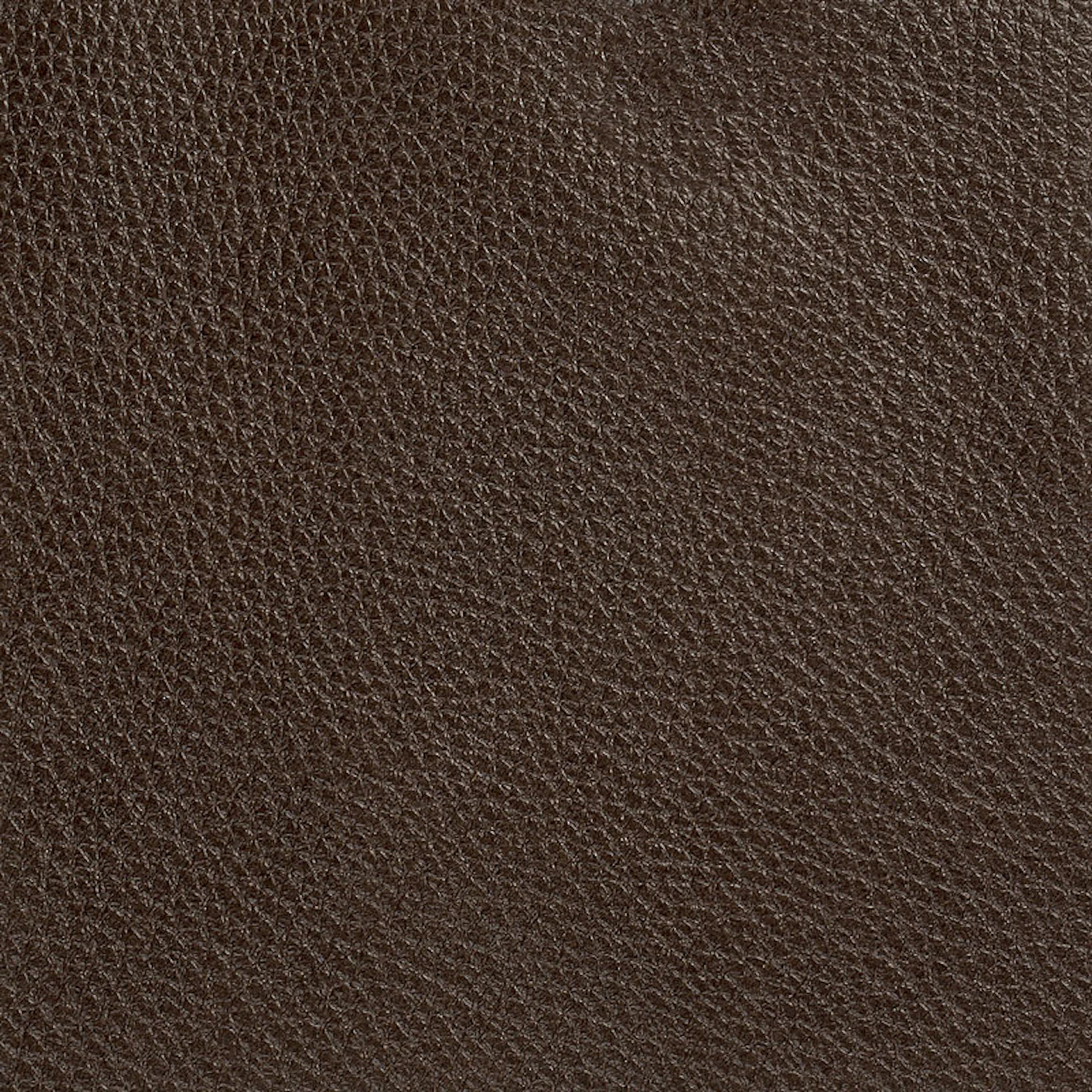 Chocolate Rye