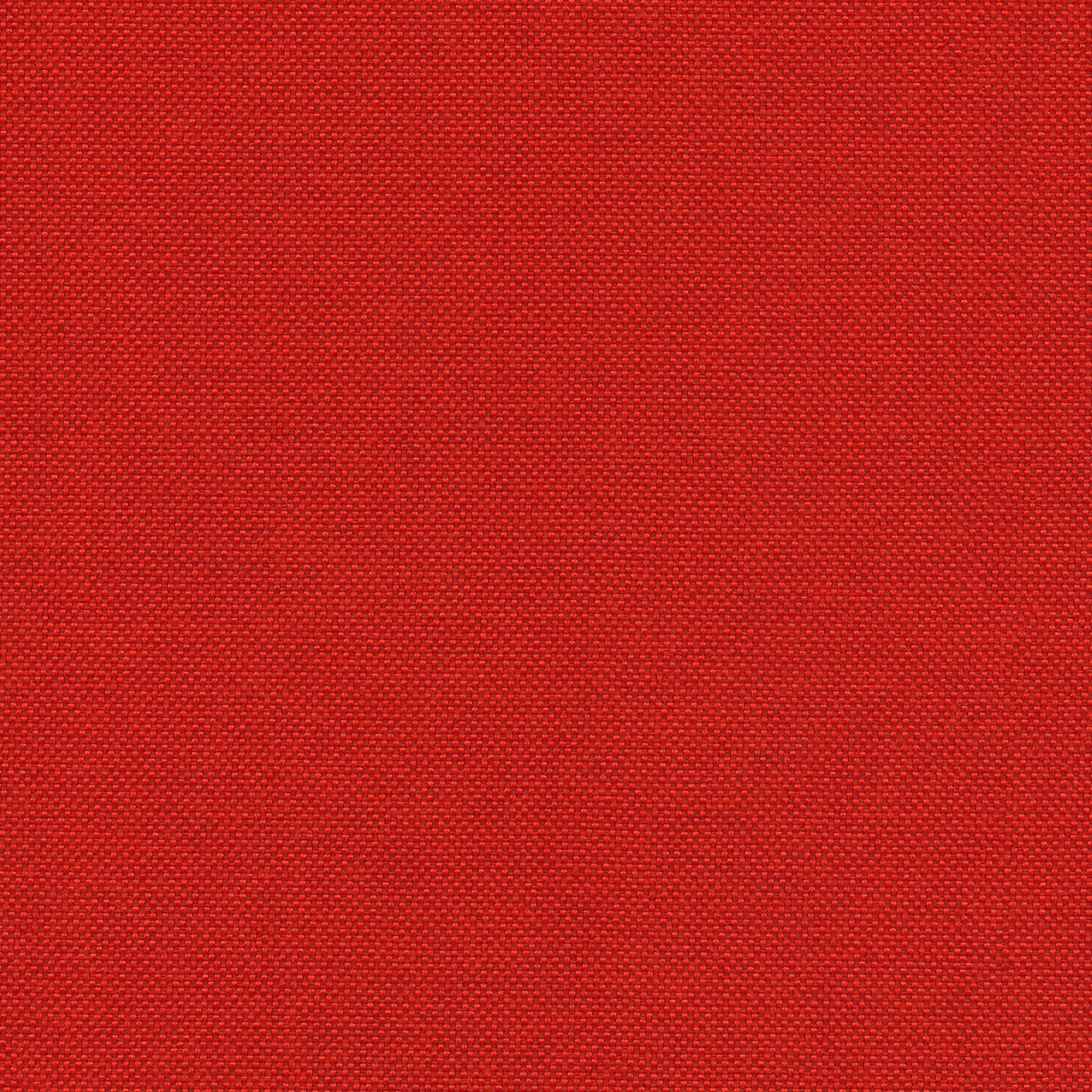 Paprika