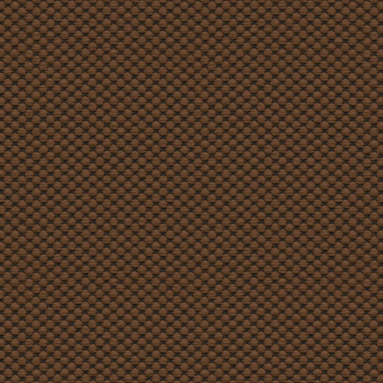 French Roast