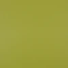 Tomatillo