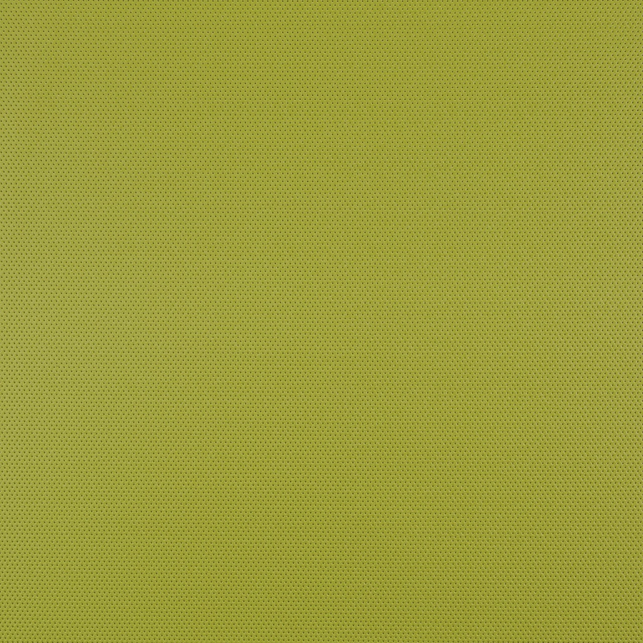 Tomatillo
