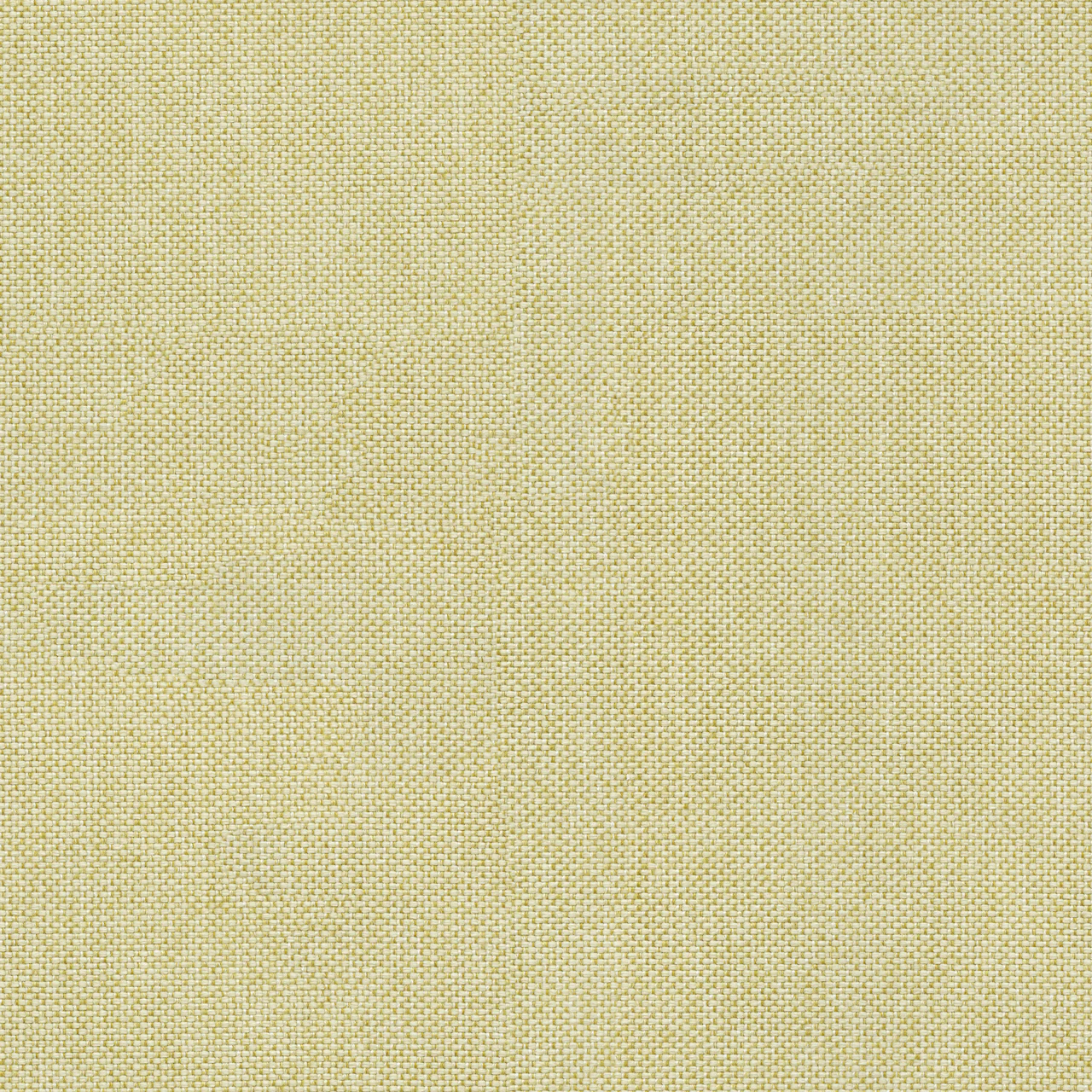 Pistachio