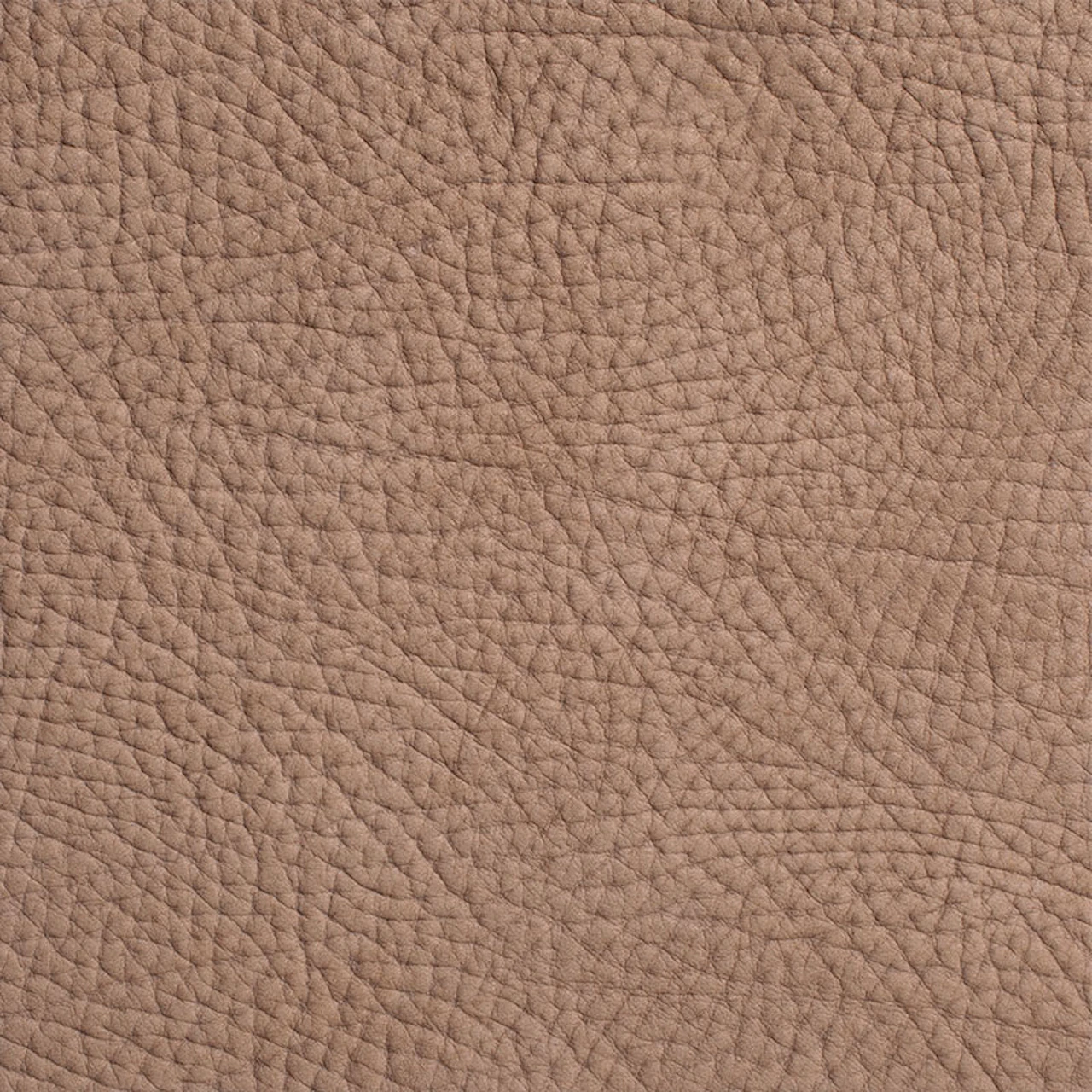 Bark