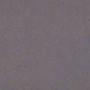 Hydrozoa