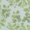 Pilea