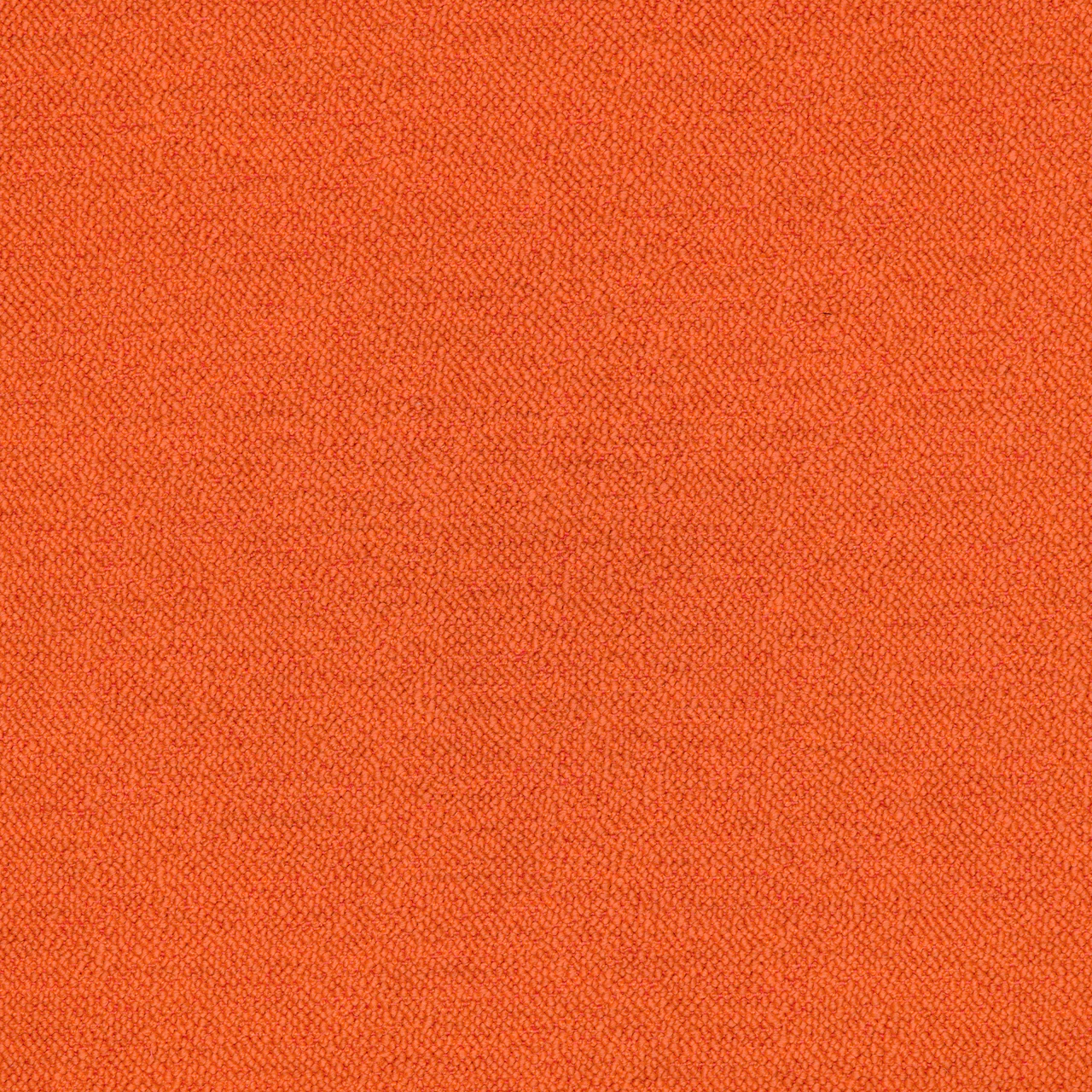 Goldfish