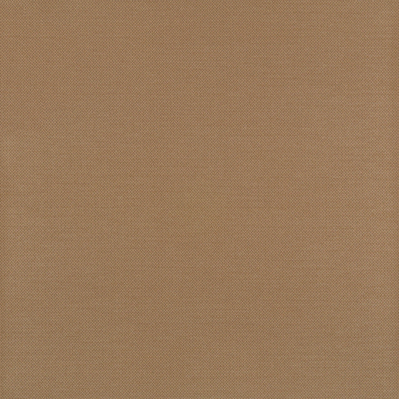 Hazelnut