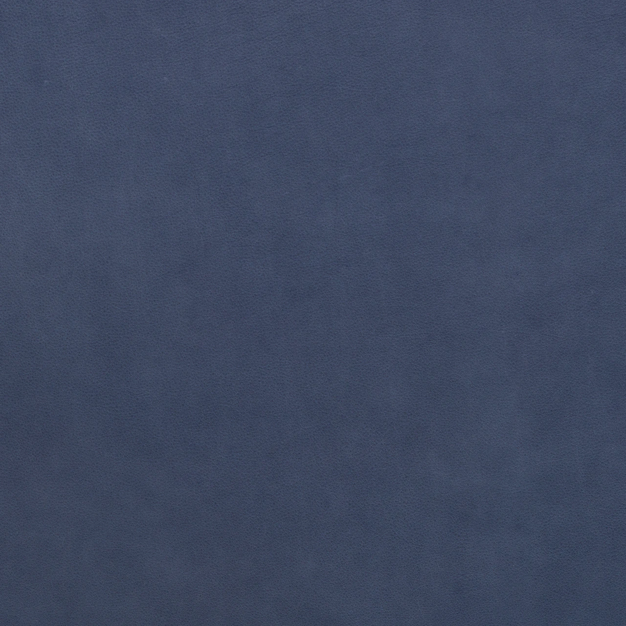 Harbor