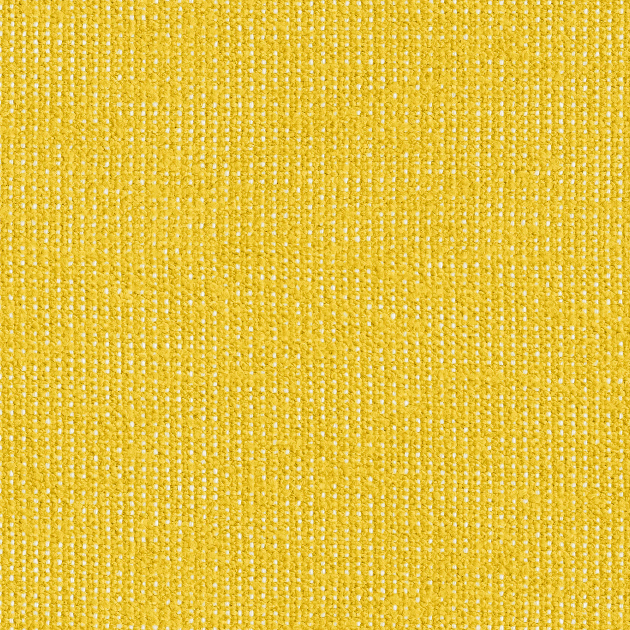 Yellow / White