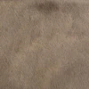 Bark