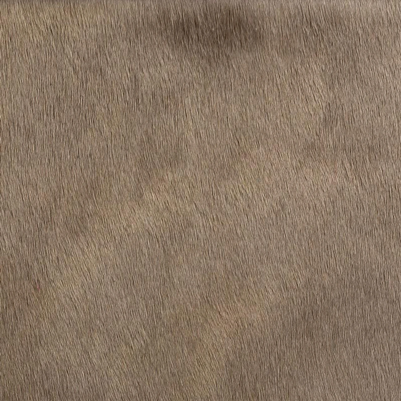 Bark