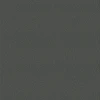 Eidetic