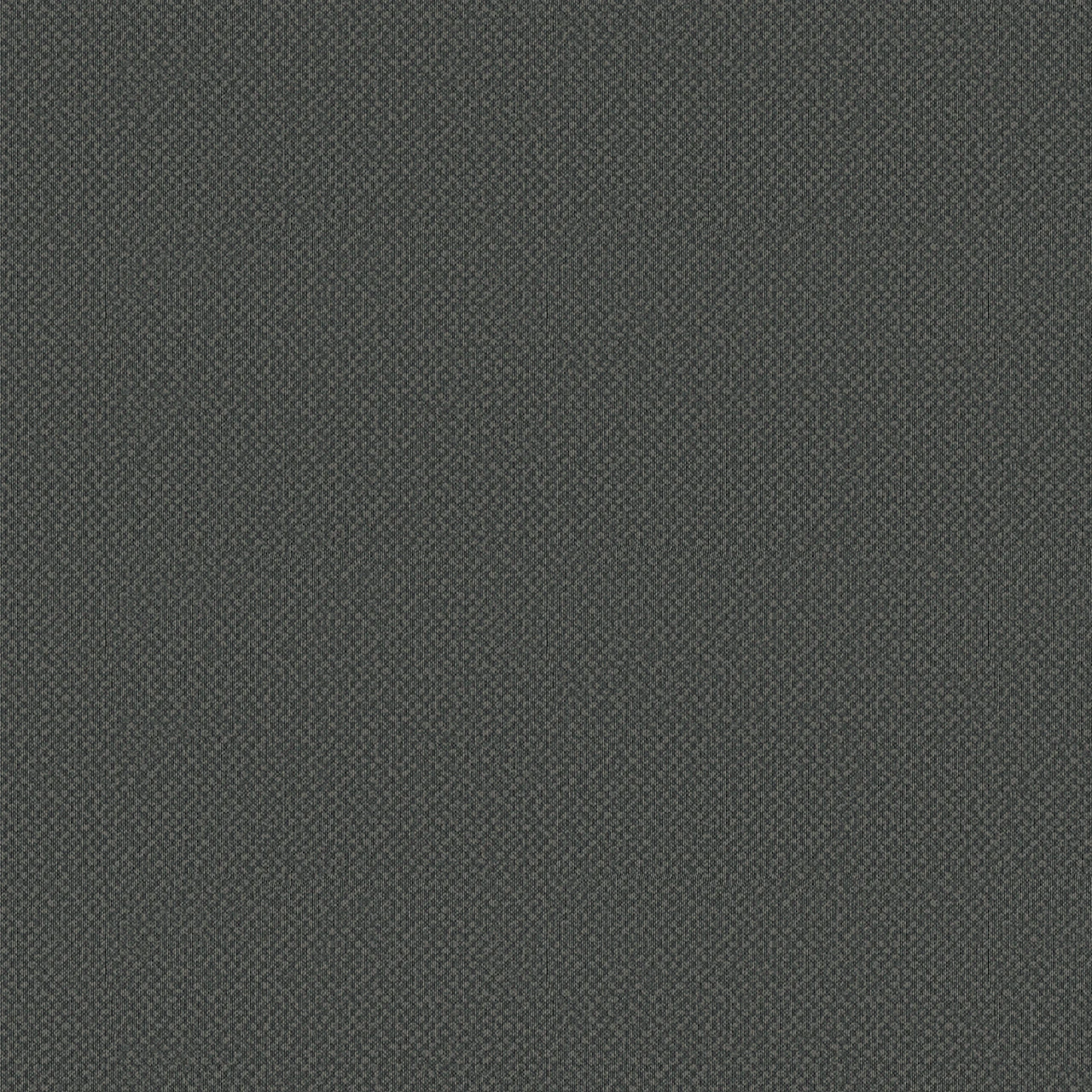 Eidetic