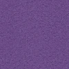 Lupine