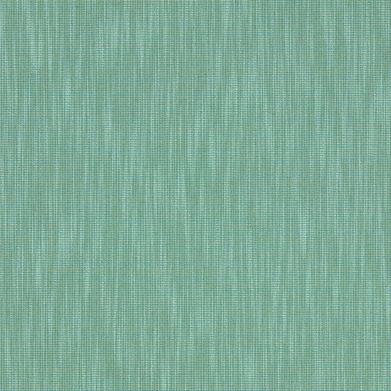 Eucalyptus