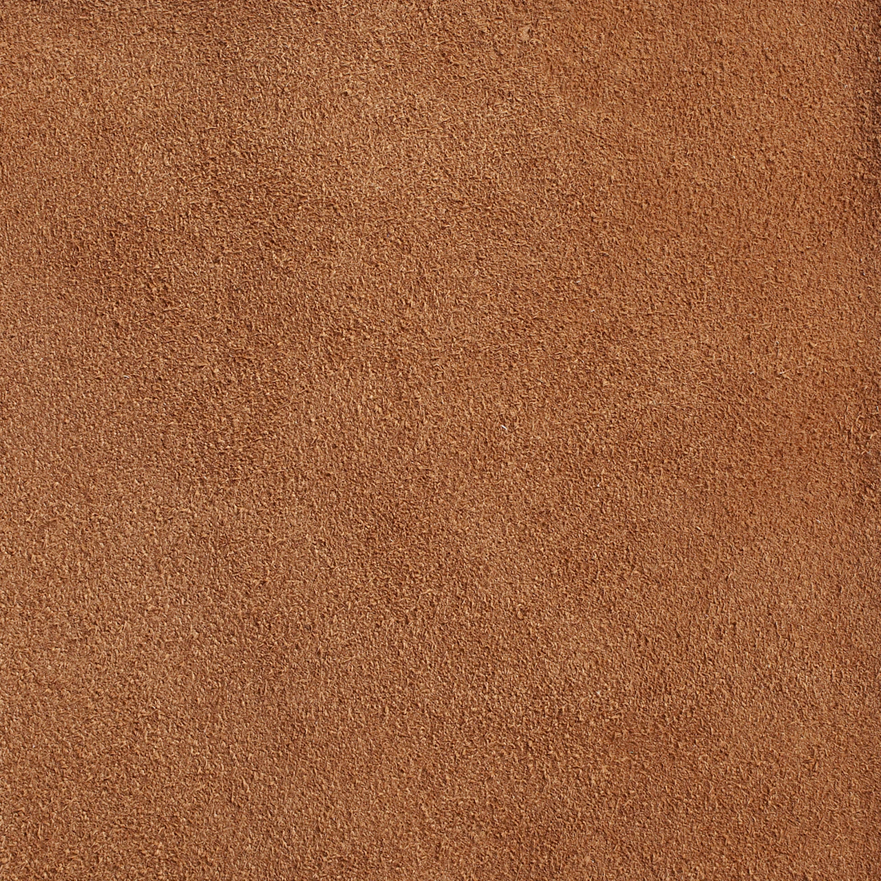 Cinnamon