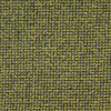 Moss