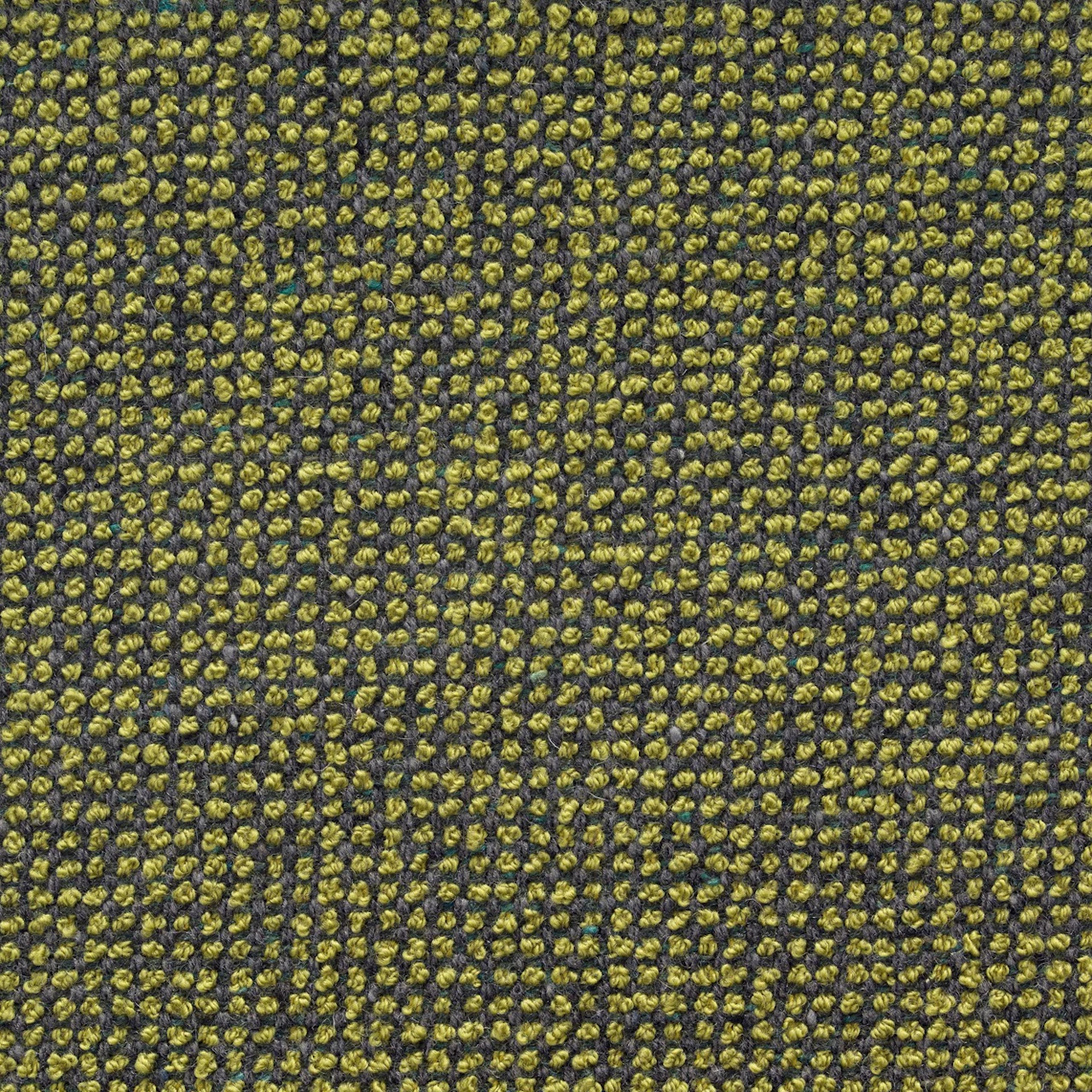 Moss