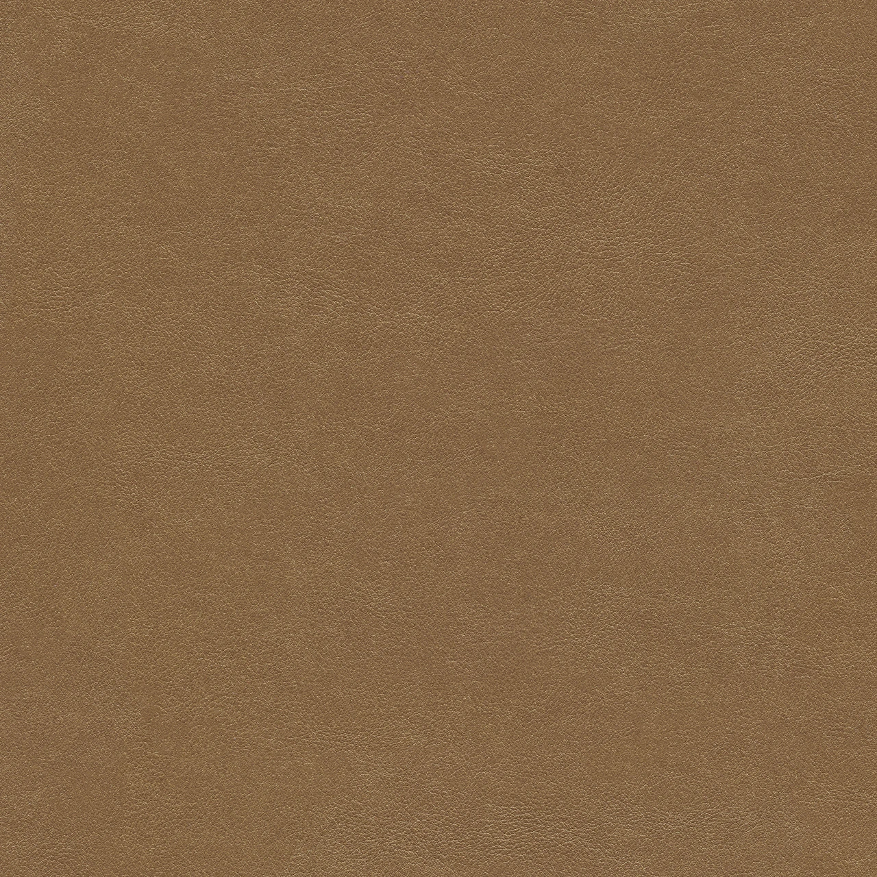Amaretto