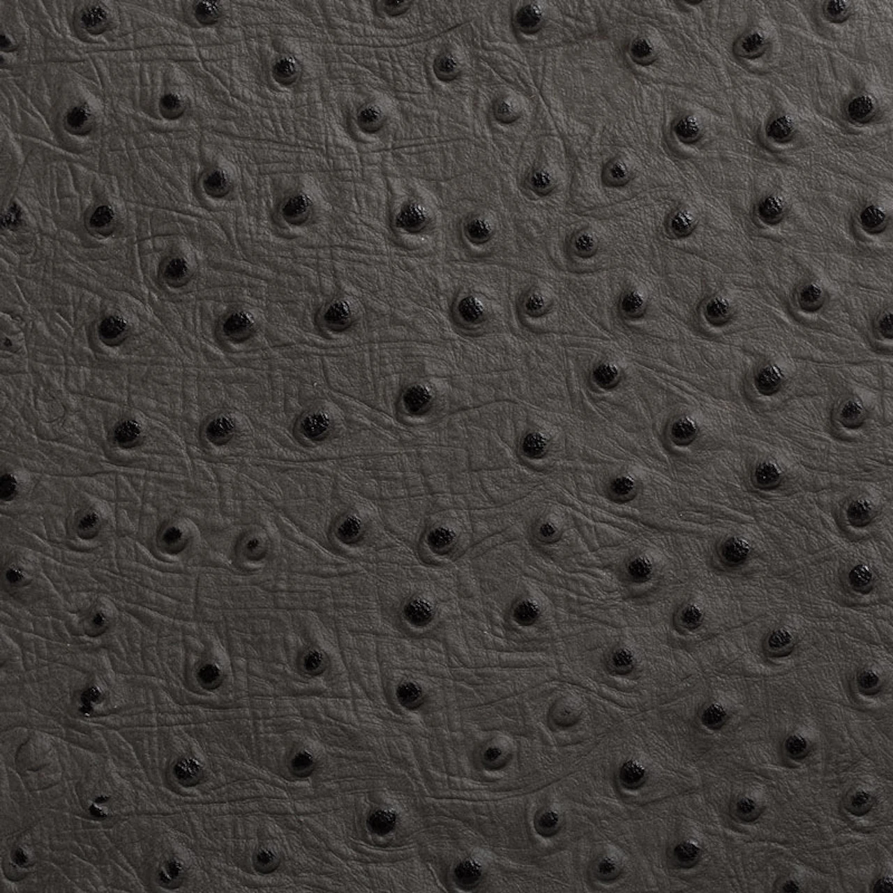 Grey Slate