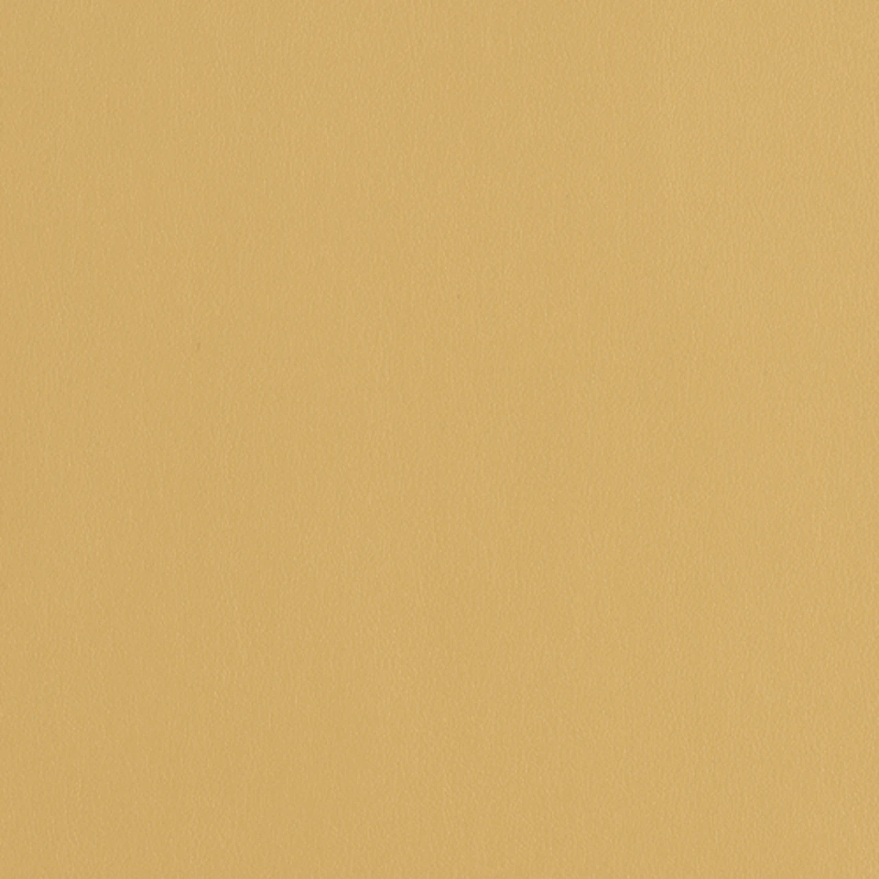 Plantain